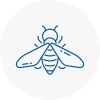 Bee Nest Removal Loanhead