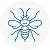 Loanhead Hornet Nest Removals