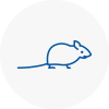 Mice Exterminators In Loanhead