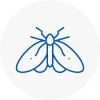 Moth Control Specialists In Loanhead