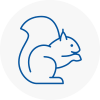 Loanhead Rodent Removals